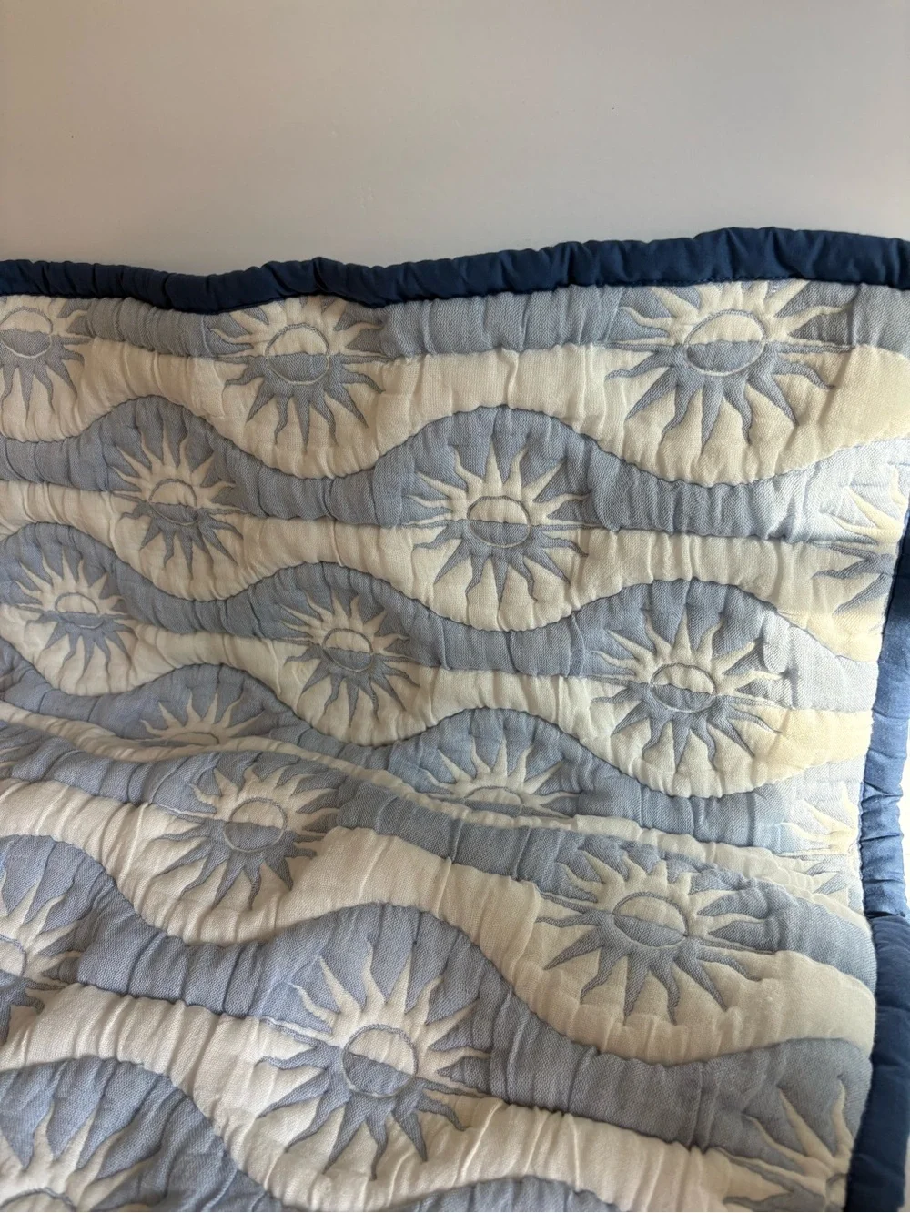 NWOT Anthropologie Nelly Icon Euro Sham